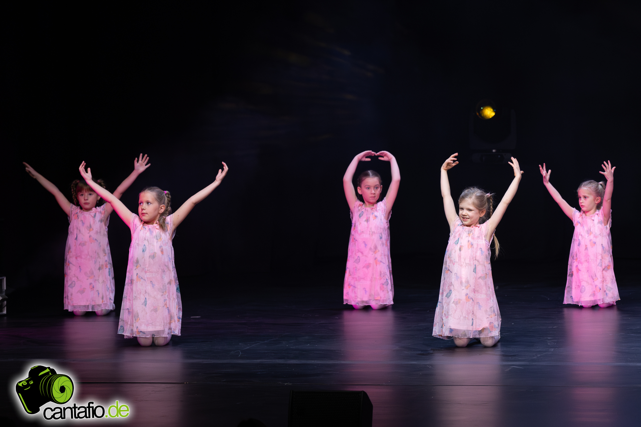  MG 5396 Verbessert RR